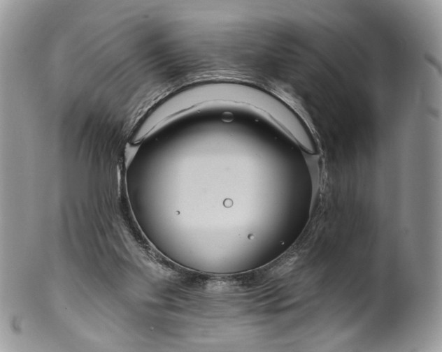 X0000099960109200806131519