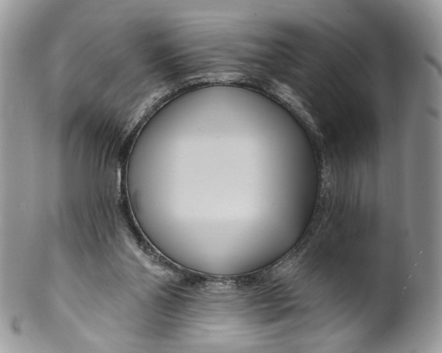 X0000099960110200806131519