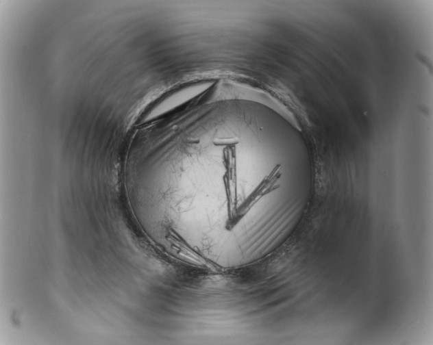 X0000099960111200806131519