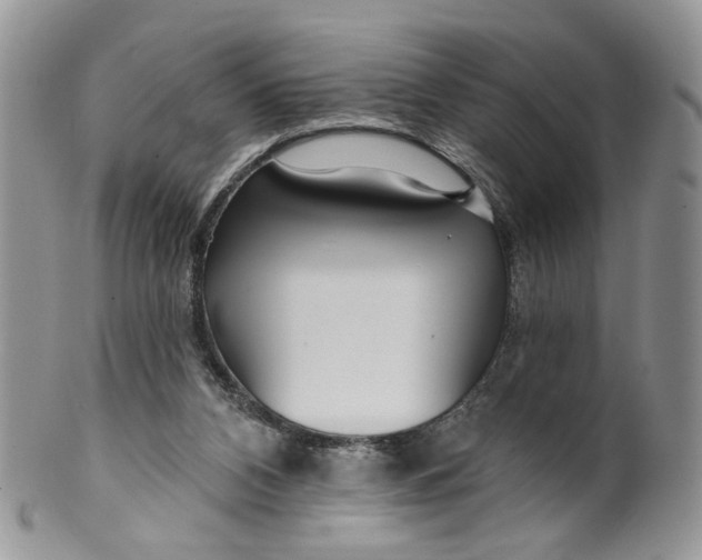 X0000099960112200806131519