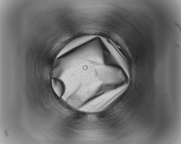 X0000099960114200806131519