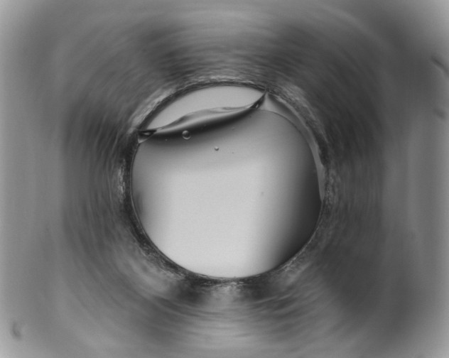 X0000099960116200806131519