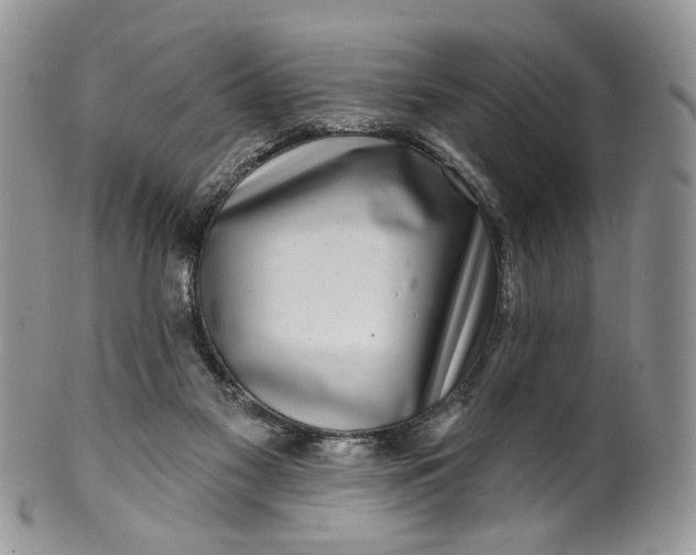 X0000099960117200806131519