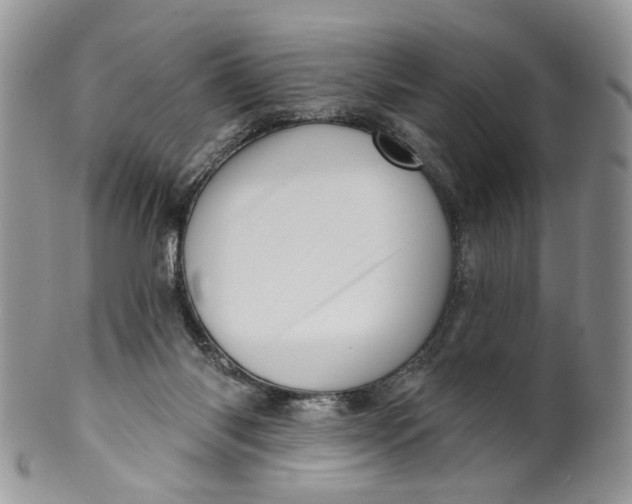 X0000099960118200806131519