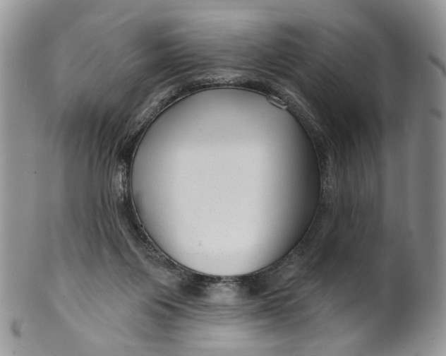 X0000099960119200806131519