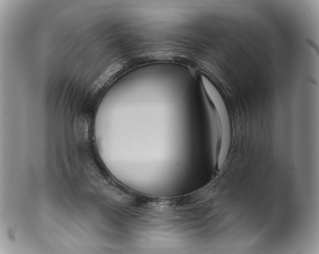 X0000099960120200806131519