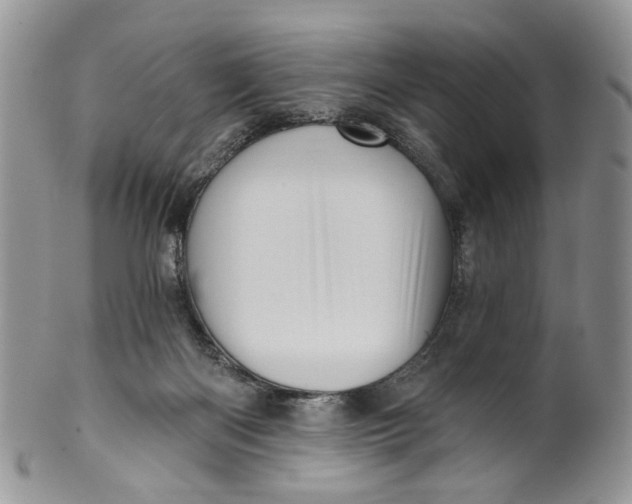 X0000099960122200806131518