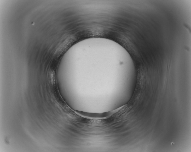 X0000099960123200806131518