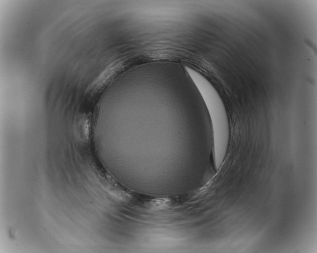 X0000099960124200806131518