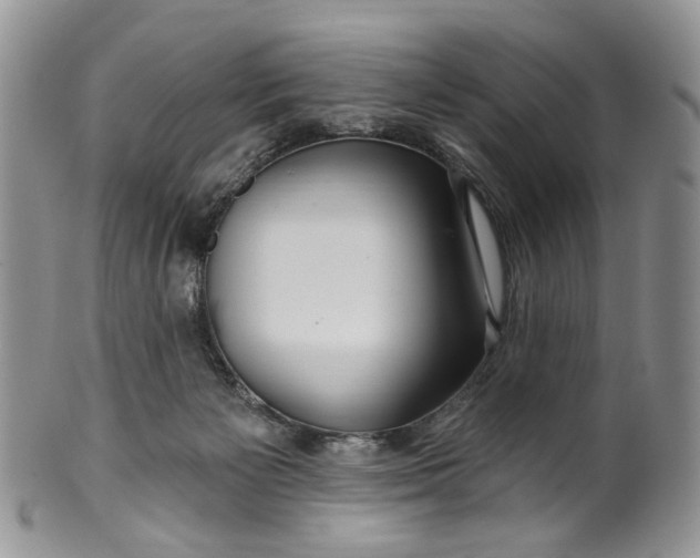 X0000099960125200806131518