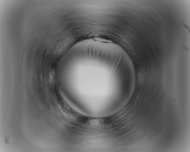 X0000099960126200806131518