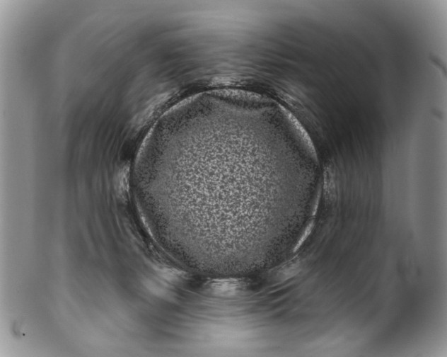 X0000099960127200806131518