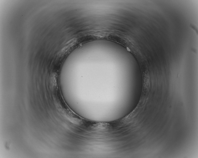 X0000099960128200806131518