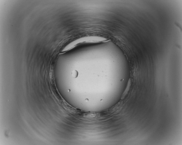 X0000099960129200806131518