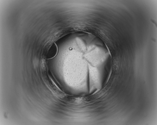 X0000099960130200806131518