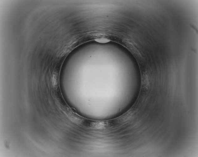 X0000099960131200806131518