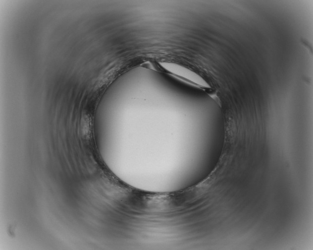 X0000099960132200806131518