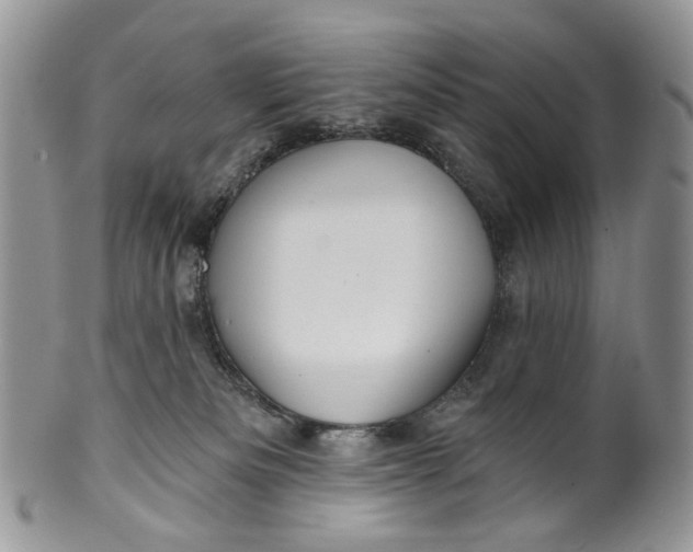 X0000099960133200806131518