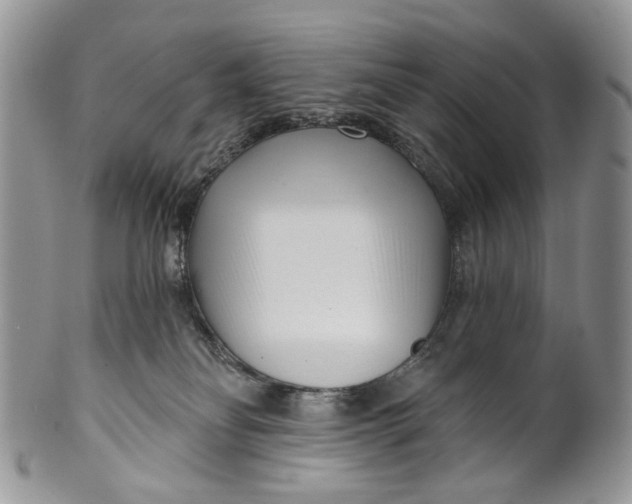 X0000099960134200806131518