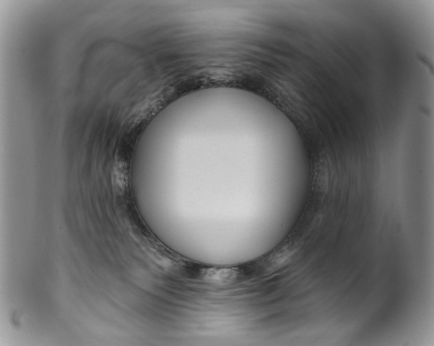 X0000099960135200806131518