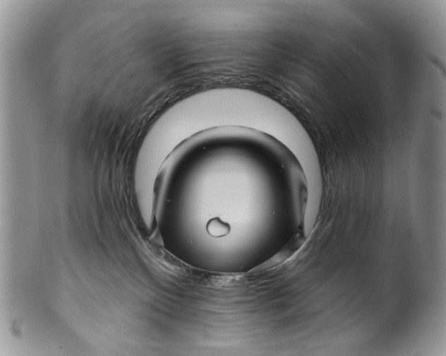 X0000099960136200806131518