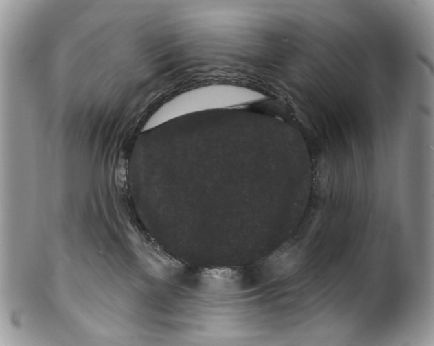 X0000099960137200806131518