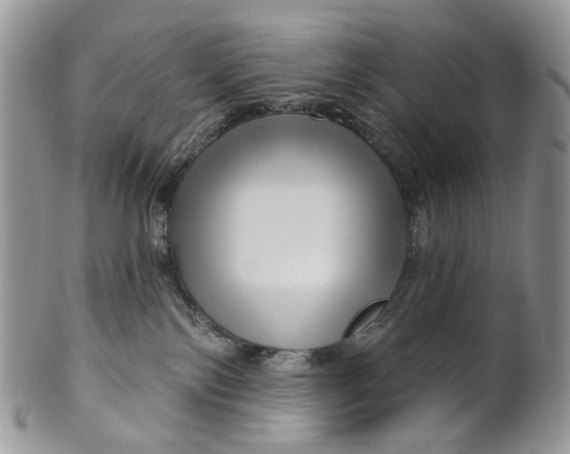 X0000099960138200806131518