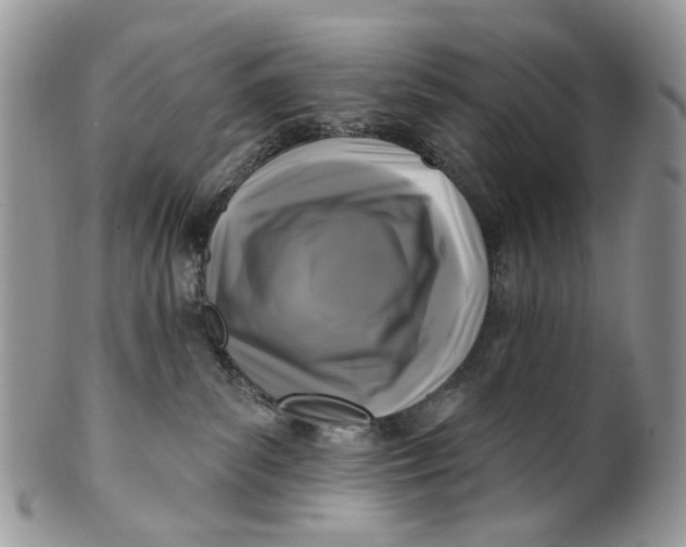 X0000099960139200806131518