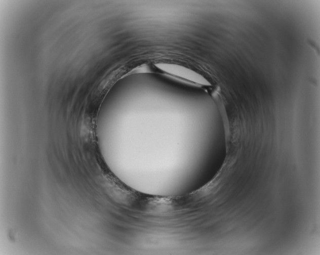 X0000099960140200806131518