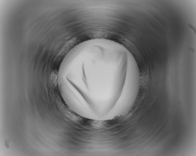 X0000099960142200806131518