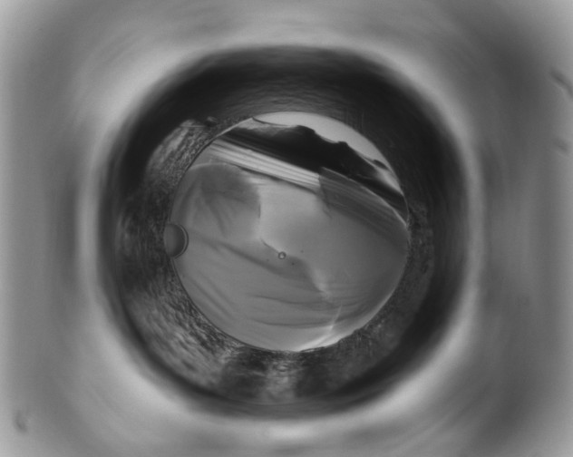 X0000099960143200806131518