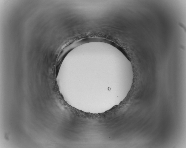 X0000099960144200806131518