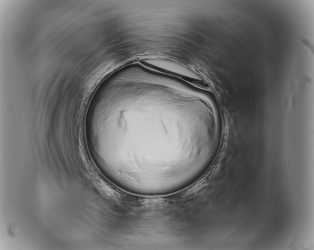 X0000099960145200806131518