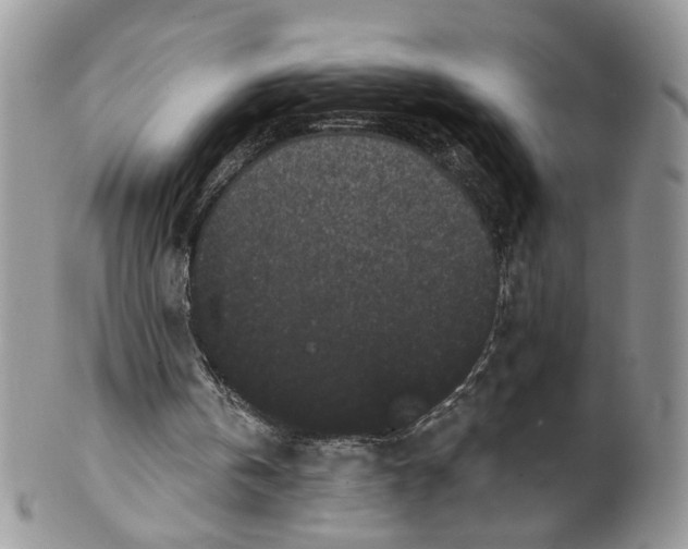 X0000099960146200806131518