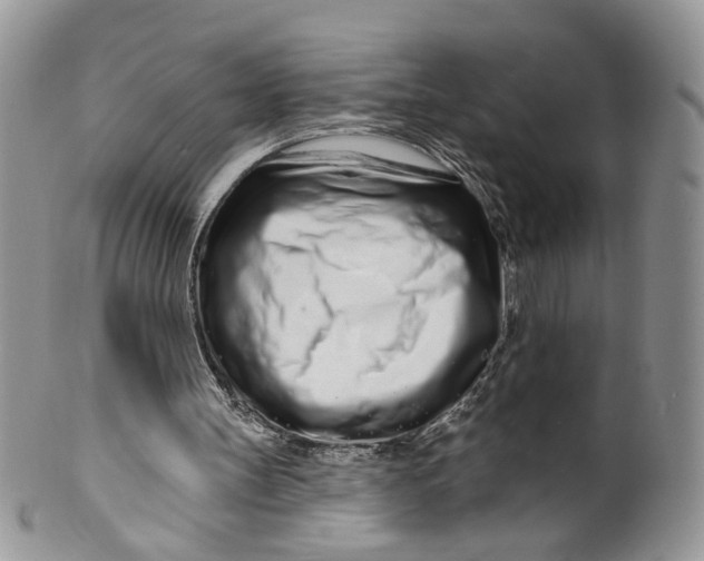 X0000099960147200806131518