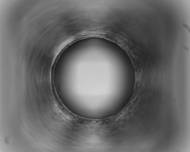 X0000099960148200806131518