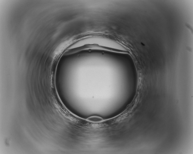 X0000099960149200806131518