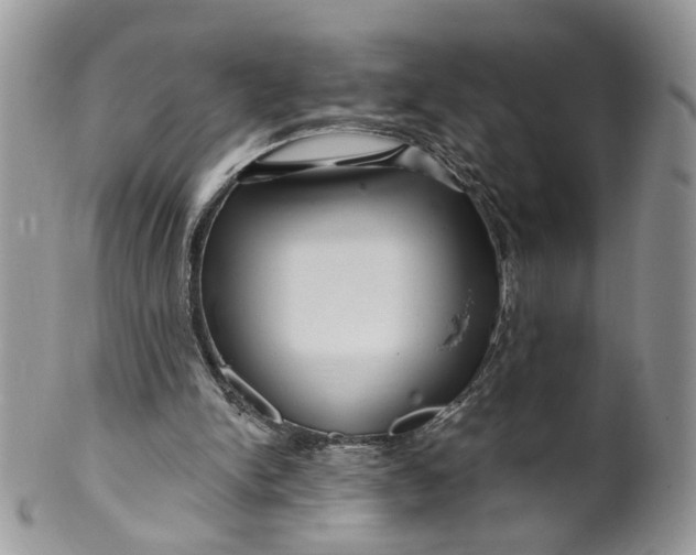 X0000099960150200806131518