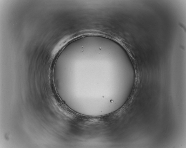 X0000099960151200806131518