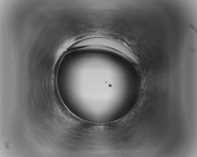 X0000099960152200806131518