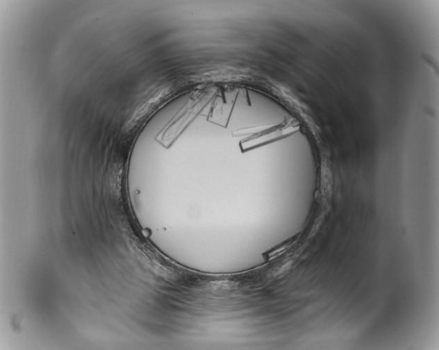 X0000099960153200806131518