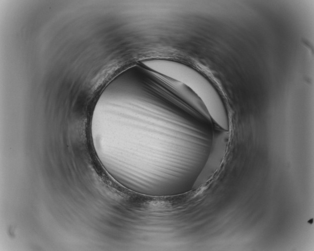 X0000099960154200806131518