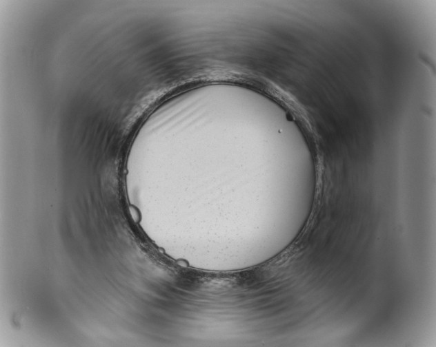 X0000099960155200806131518