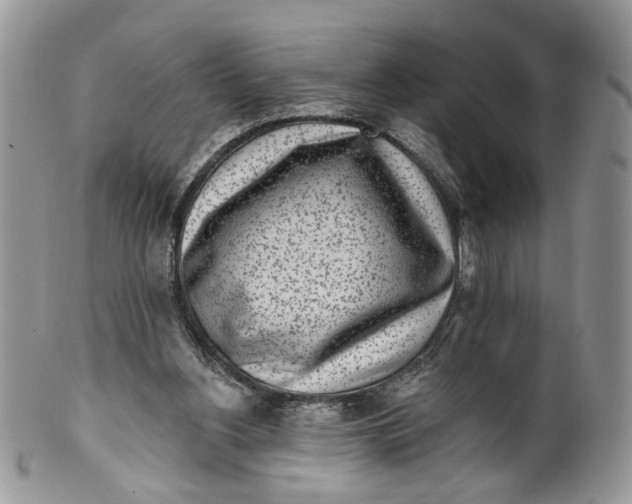 X0000099960156200806131518