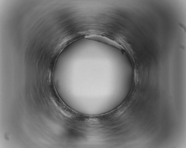 X0000099960157200806131518