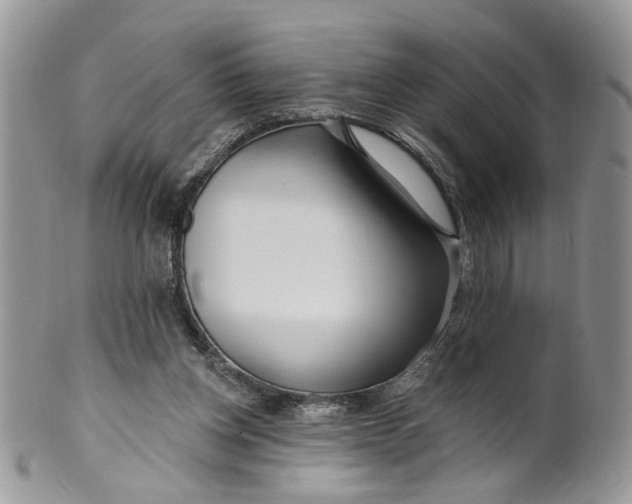 X0000099960158200806131518