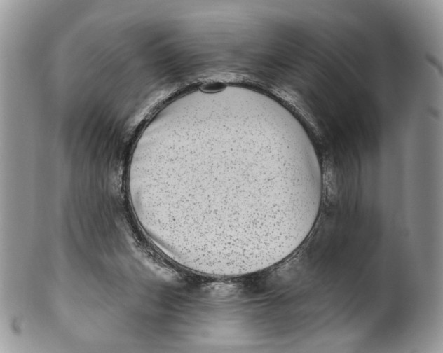 X0000099960159200806131518