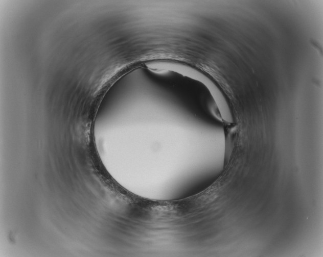 X0000099960160200806131518