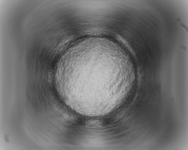 X0000099960161200806131518