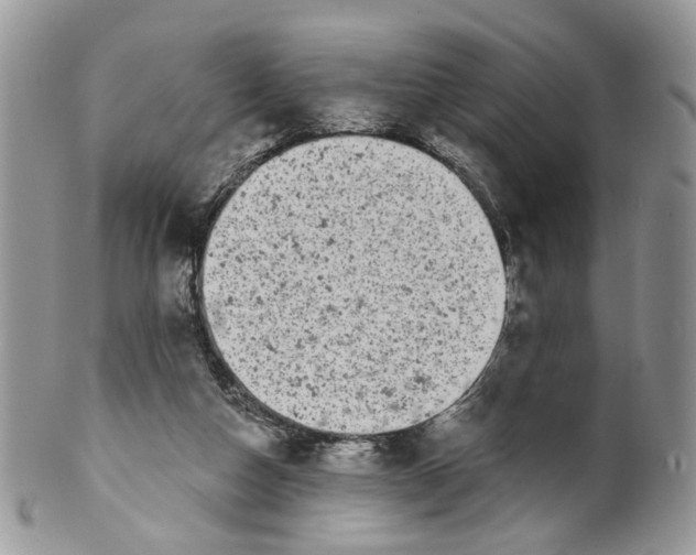 X0000099960162200806131518